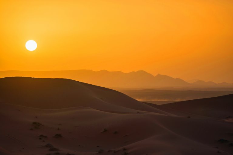 trees in the Sahara, west africa