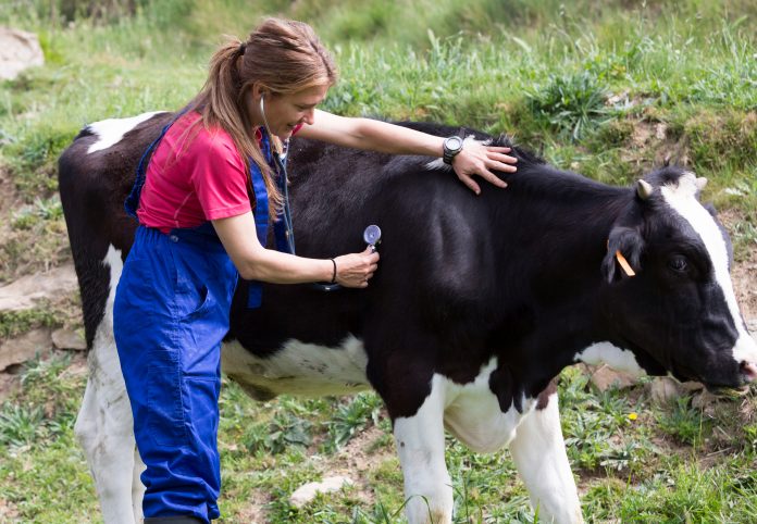 veterinary medicines