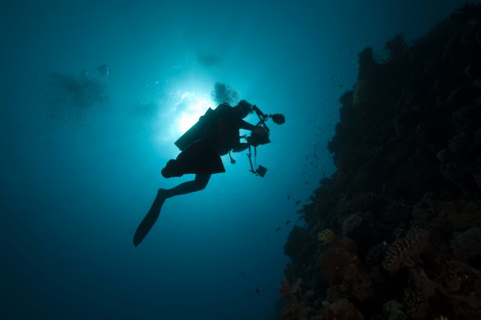 marine fish DNA, sediment