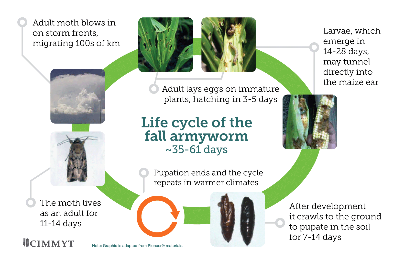 african and asian agriculture