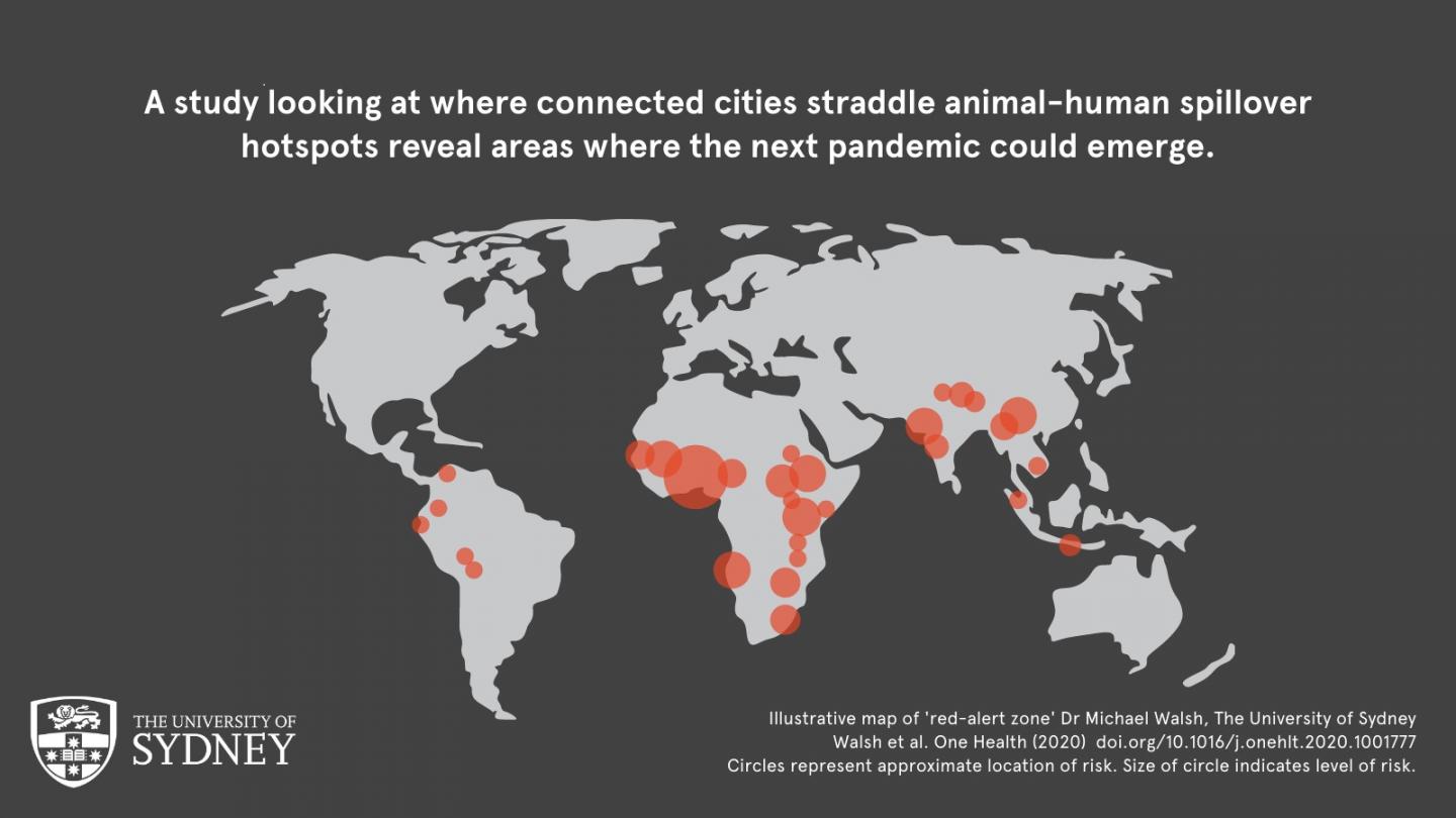 the next pandemic, animal