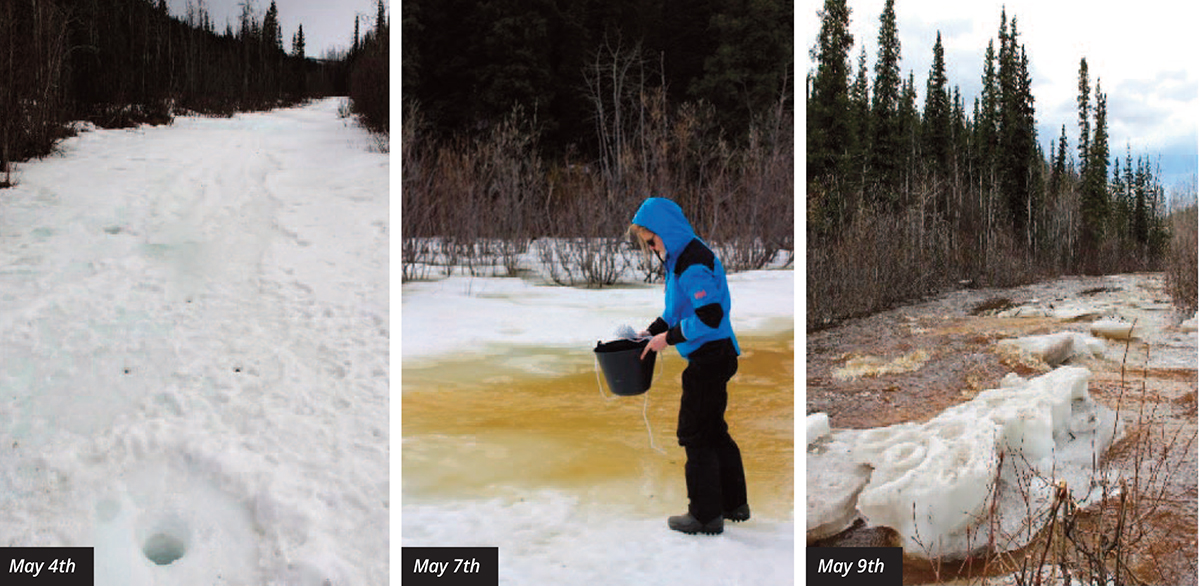 arctic rivers, spring flood