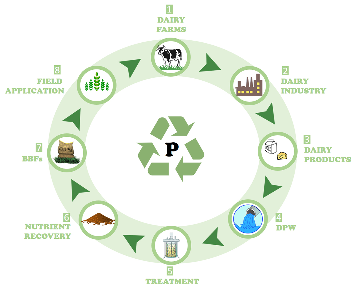 dairy industry, plants