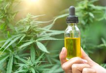 cbd oil and cancer