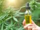 cbd oil and cancer