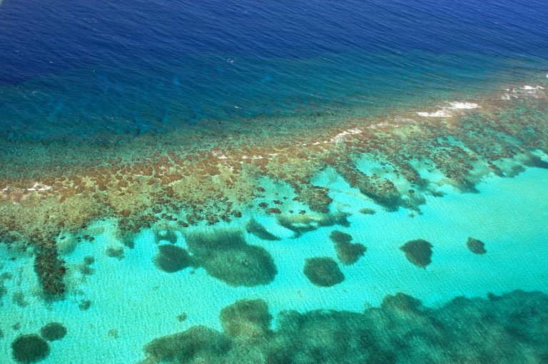 caribbean coral reef, PAC