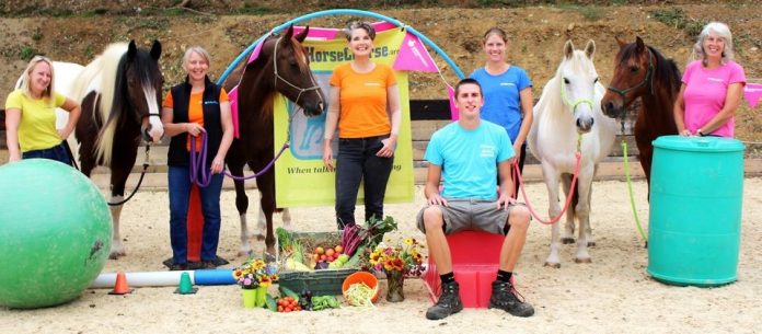 equine assisted interventions, public health