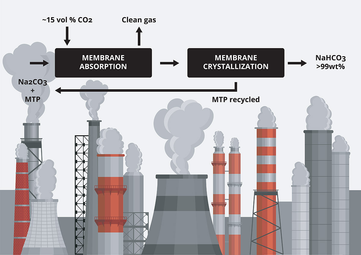 closing the carbon cycle, climate