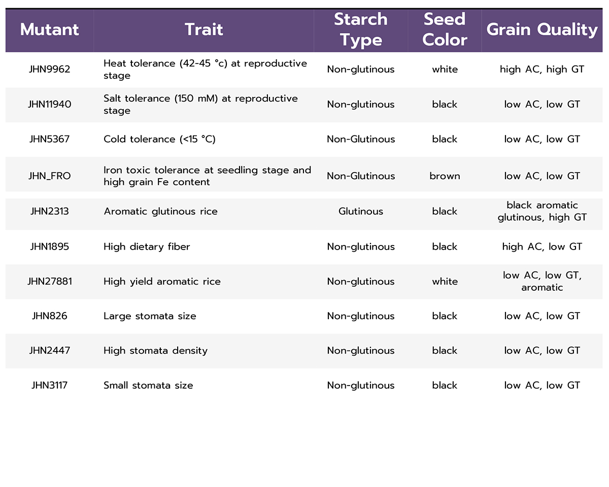 purple rice, genetic diversity