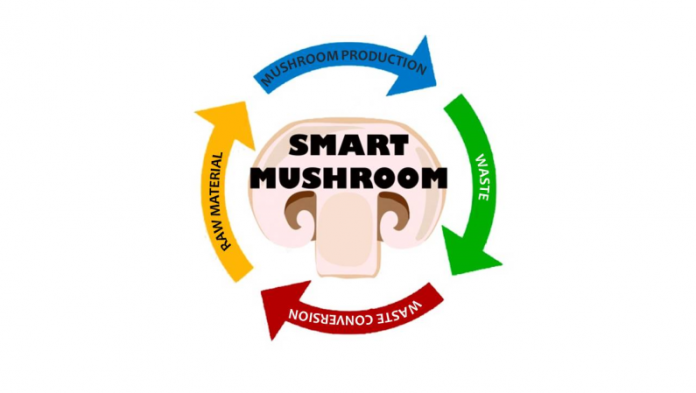 SmartMushroom Project
