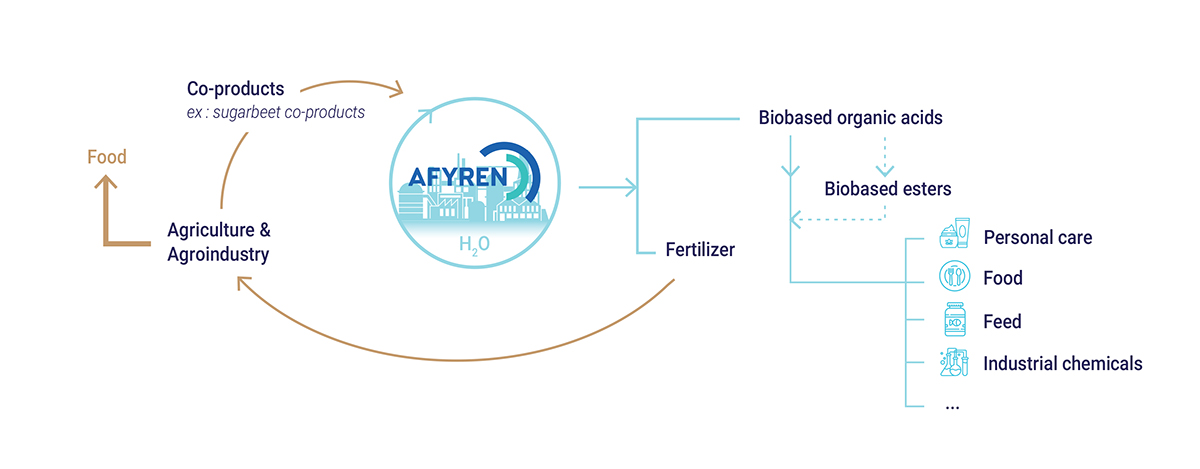 non-food biomass, food