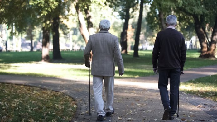 europe's ageing society