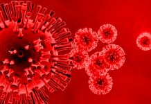 covid-19 virus variants