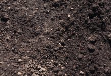 hard soils