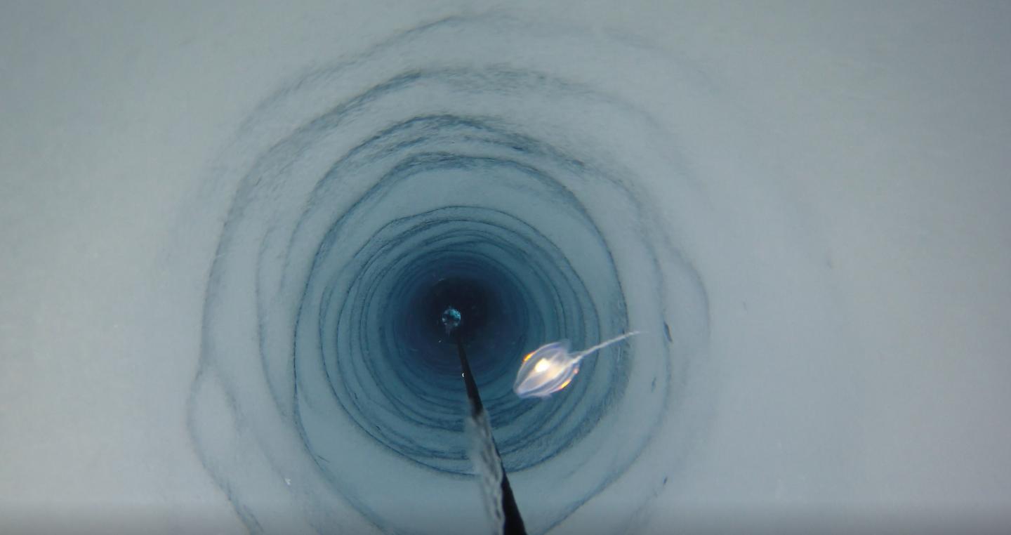 under antarctic ice shelves, ice shelves