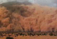 global dust emissions