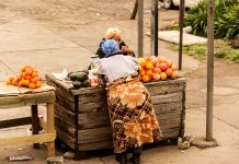 climate change in south africa, labour