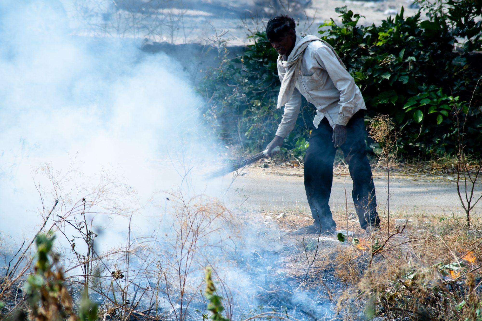 controversial agricultural reforms, modi