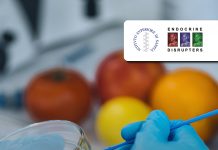 endocrine safety, public health