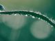 decarbonisation of heat, hydrogen