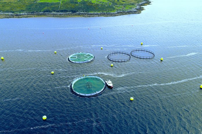 sustainable development of aquaculture, IMPAQT
