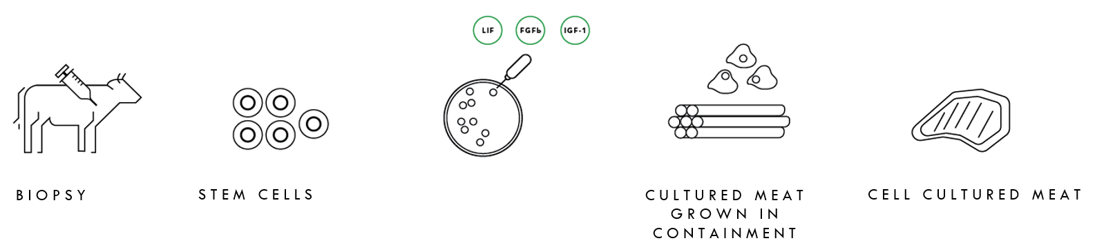 plant biotechnology, meat industry