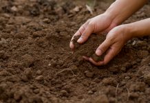 sustaining soil health