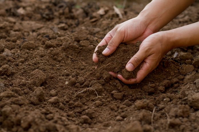 sustaining soil health