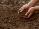 sustaining soil health