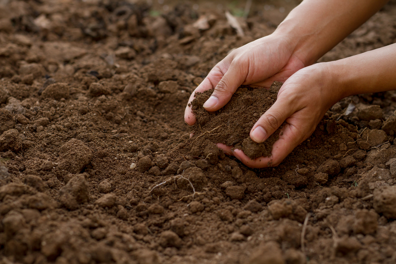 Why Nitrogen cycling is a keystone indicator in sustaining soil health