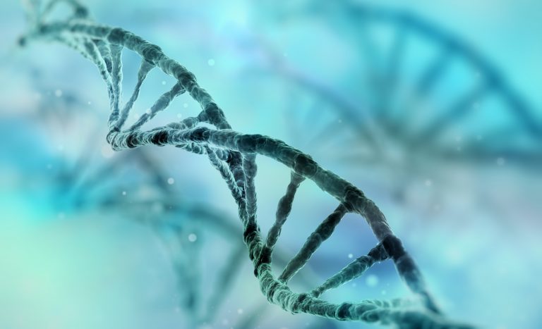 click chemistry, RNA ligation