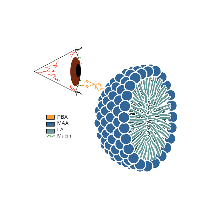 artificial tear substitutes, dry eye