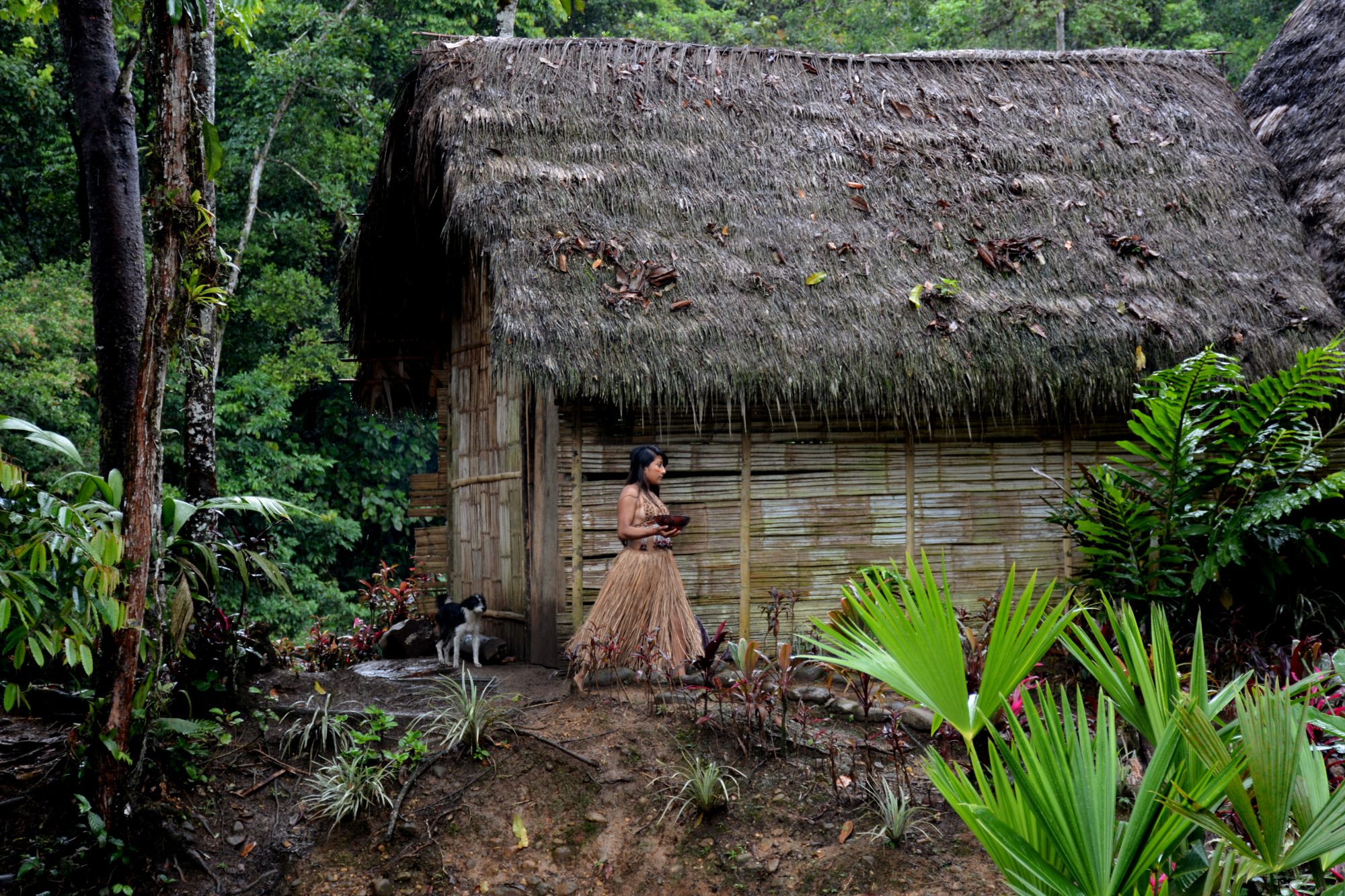 indigenous societies, land management