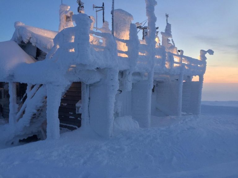 Melting arctic sea ice destroys French wine harvest