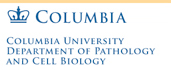 Department of Pathology and Cell Biology