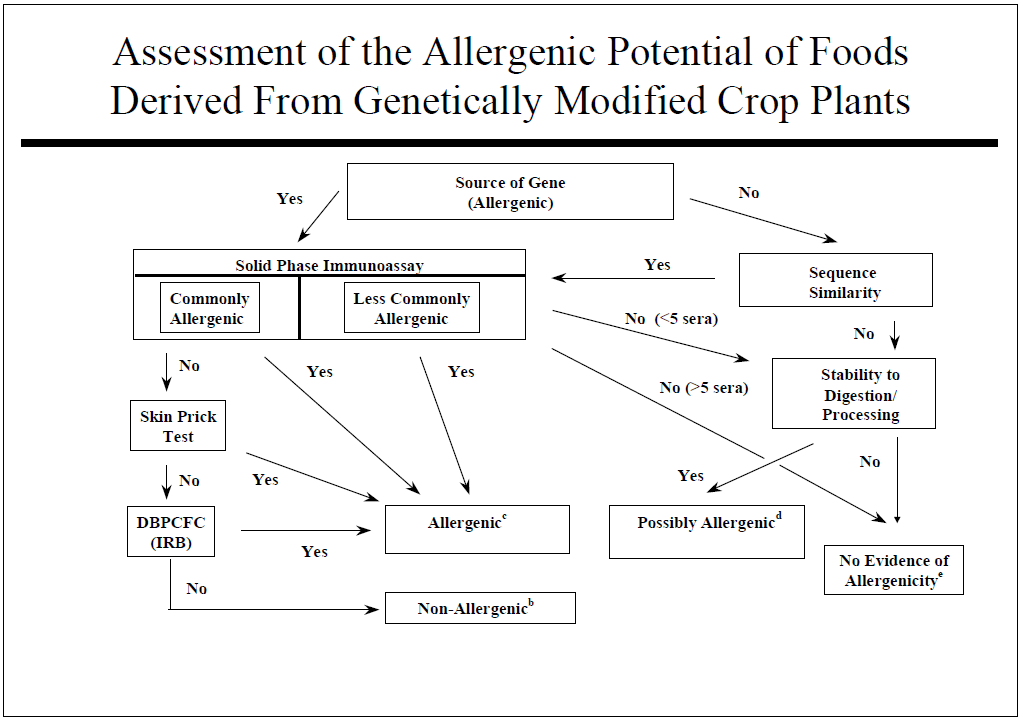 GE crops and allergens