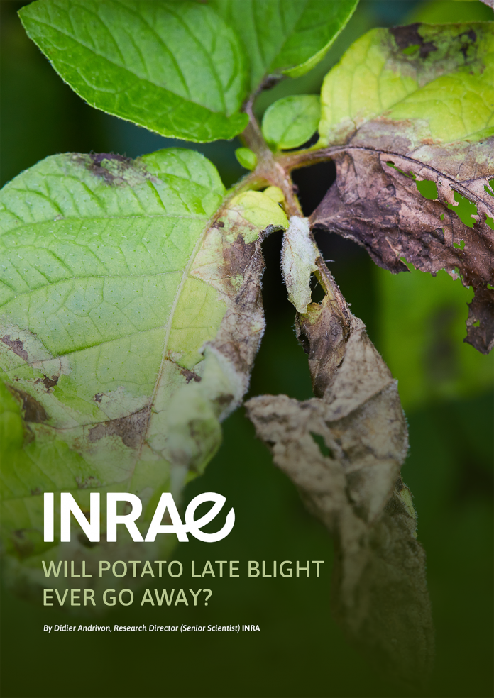 potato late blight, INRAE