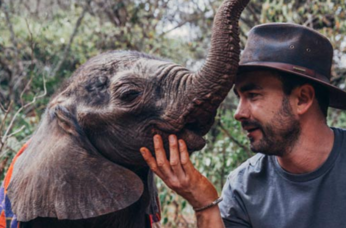 humans and elephants