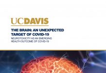 target of COVID-19, brain