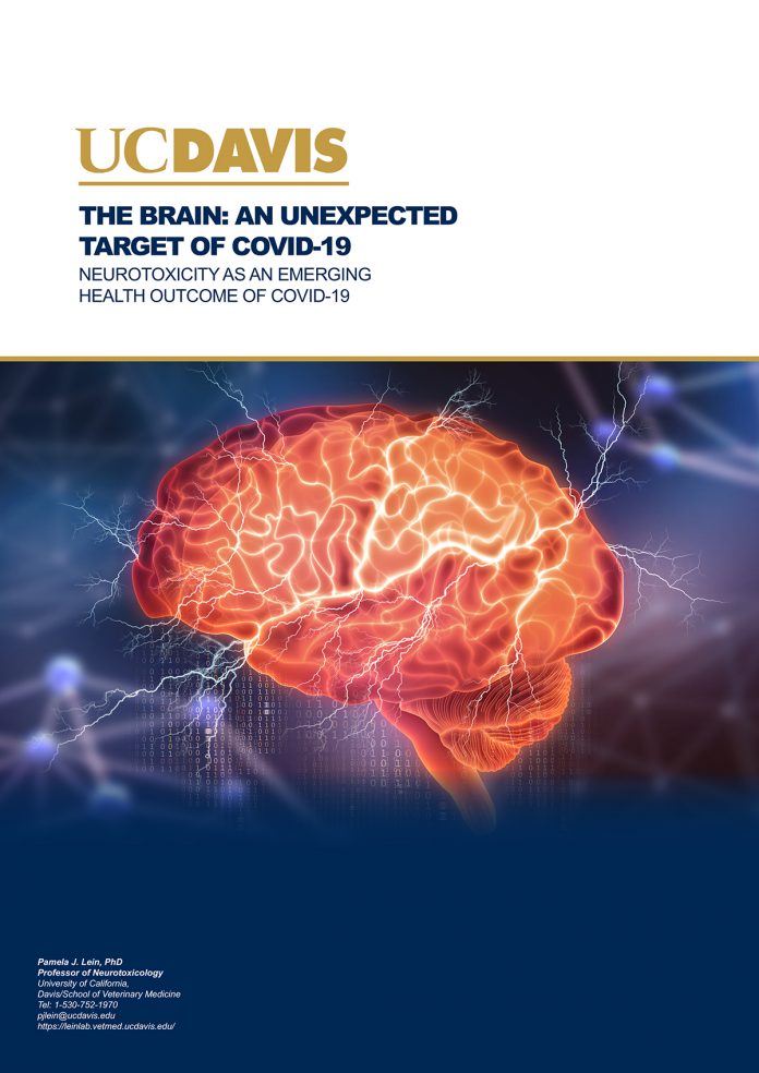 target of COVID-19, brain