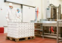 sustainable food manufacturing