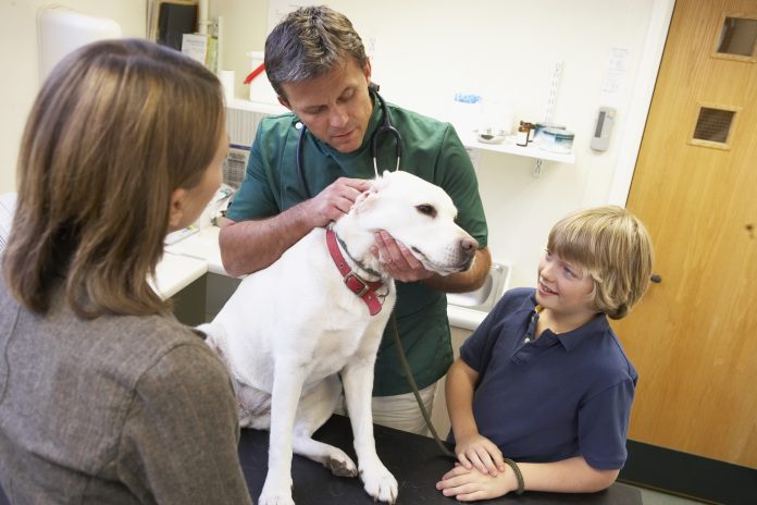 systems governing veterinary medicines