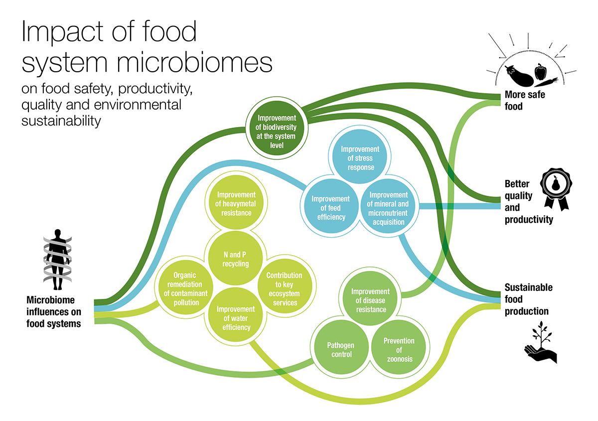 Система фуд. Sustainable food. A sustainable food System. Microbiome research. Микробиом растений.