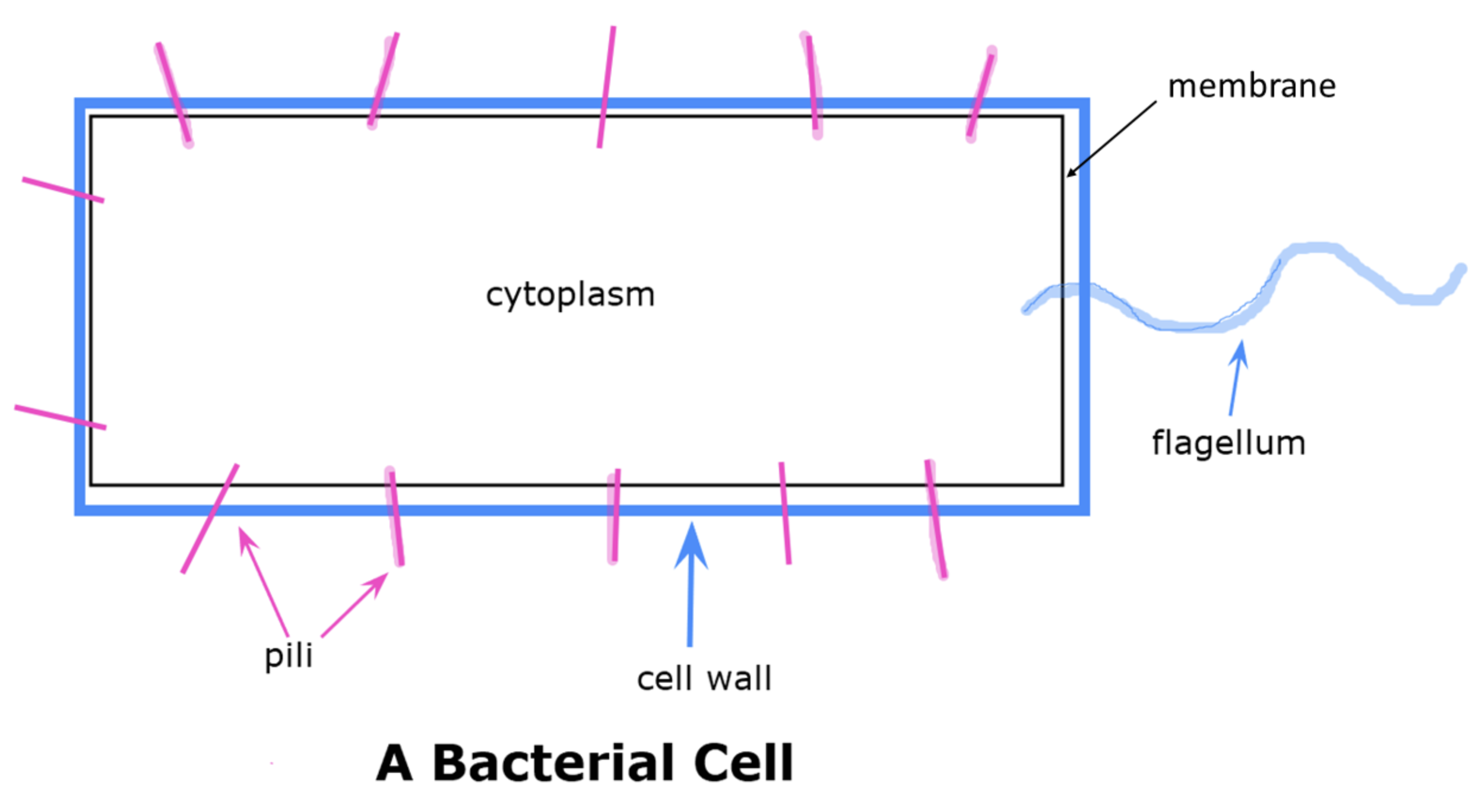 disease, school