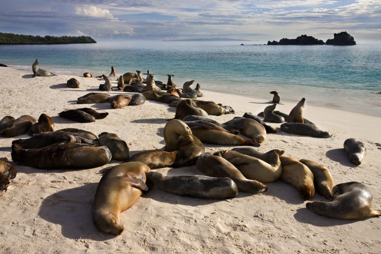 safeguarding galapagos