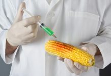 techniques of genetic modification