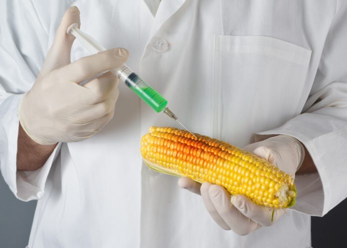 techniques of genetic modification