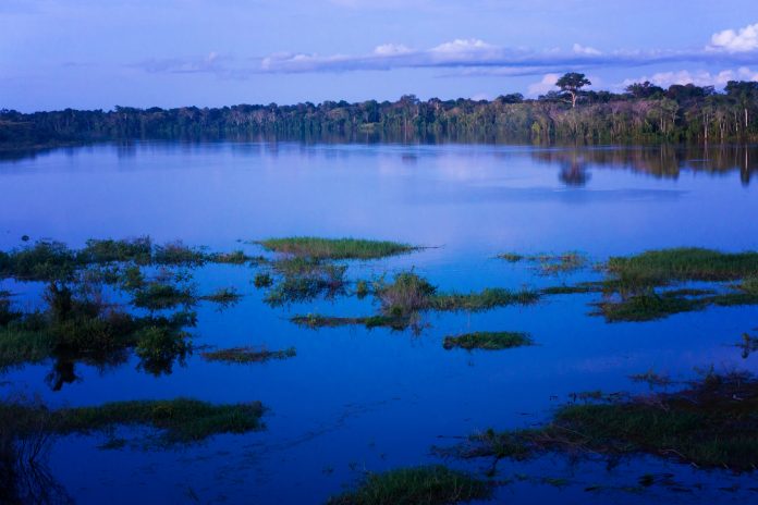 amazon deforestation, carbon emissions