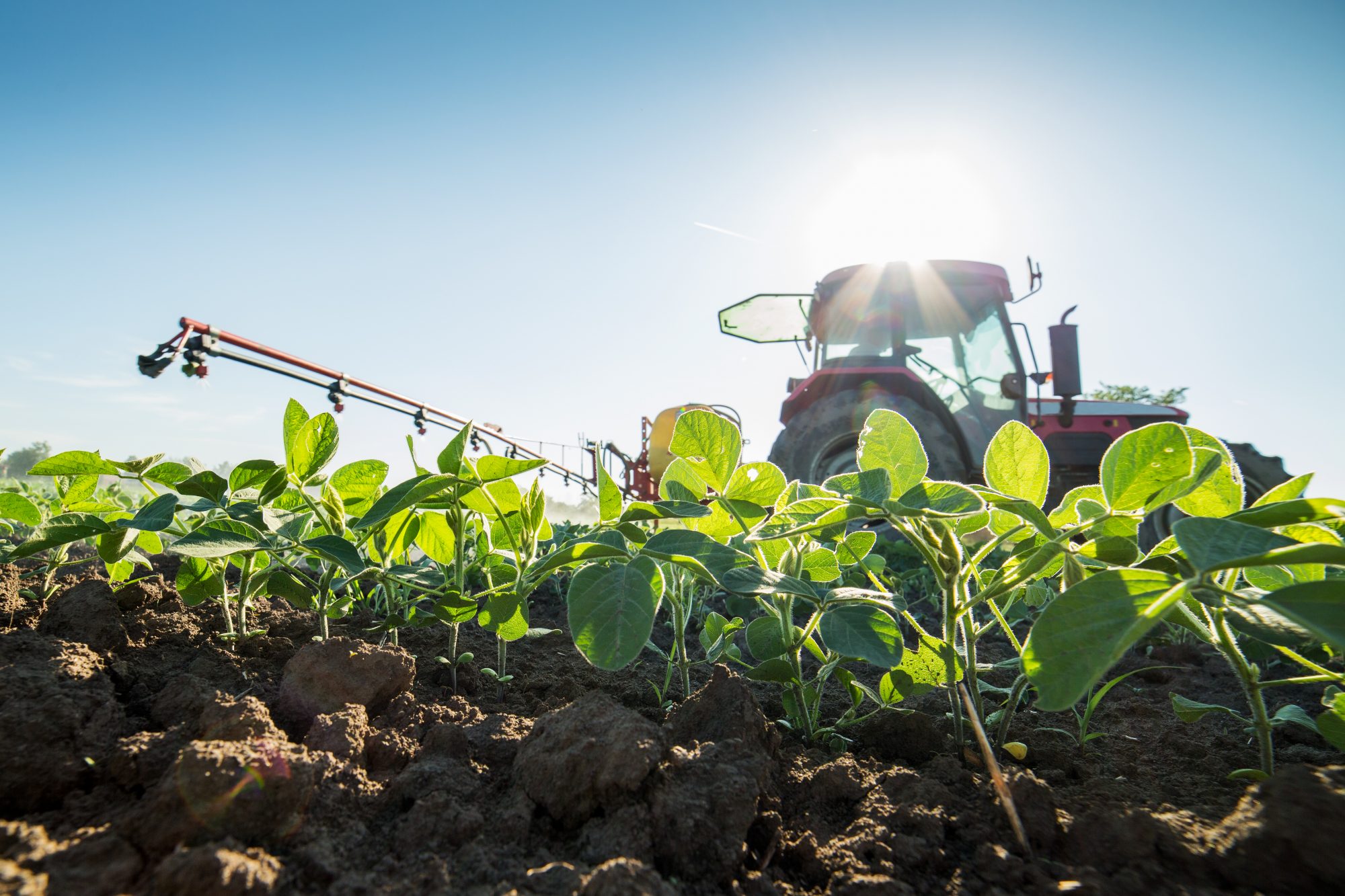 Tackling the impacts of pesticides on human, animal and environmental health