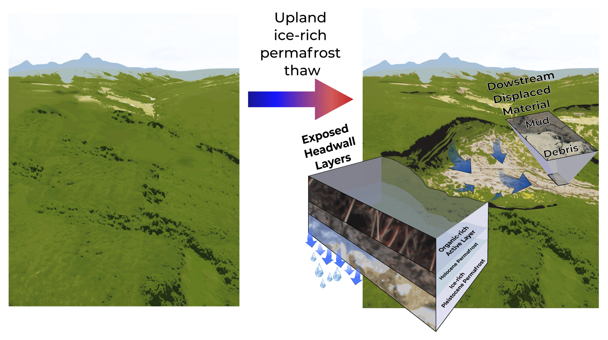 thaw slump, arctic permafrost